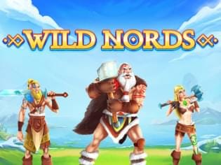 Wild Nords icon